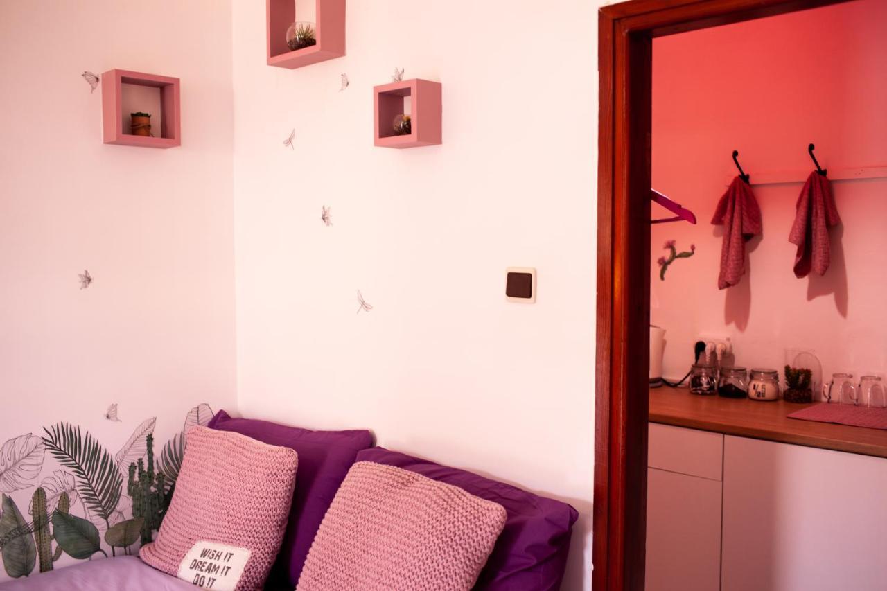 Exodus & Dive Center Hostel