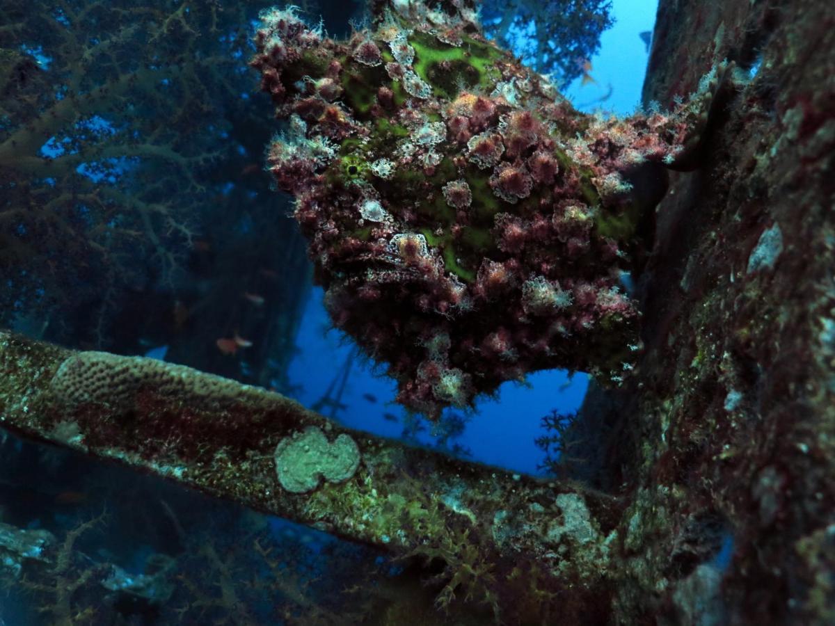 Exodus & Dive Center Хостел